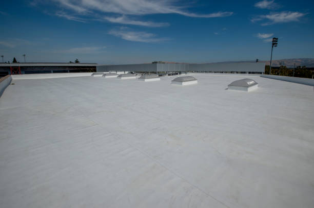Best Skylights  in Hereford, TX