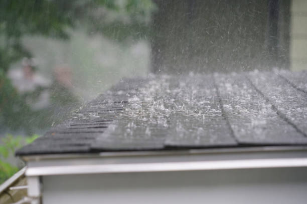 Best Solar Panel Roofing Installation  in Hereford, TX